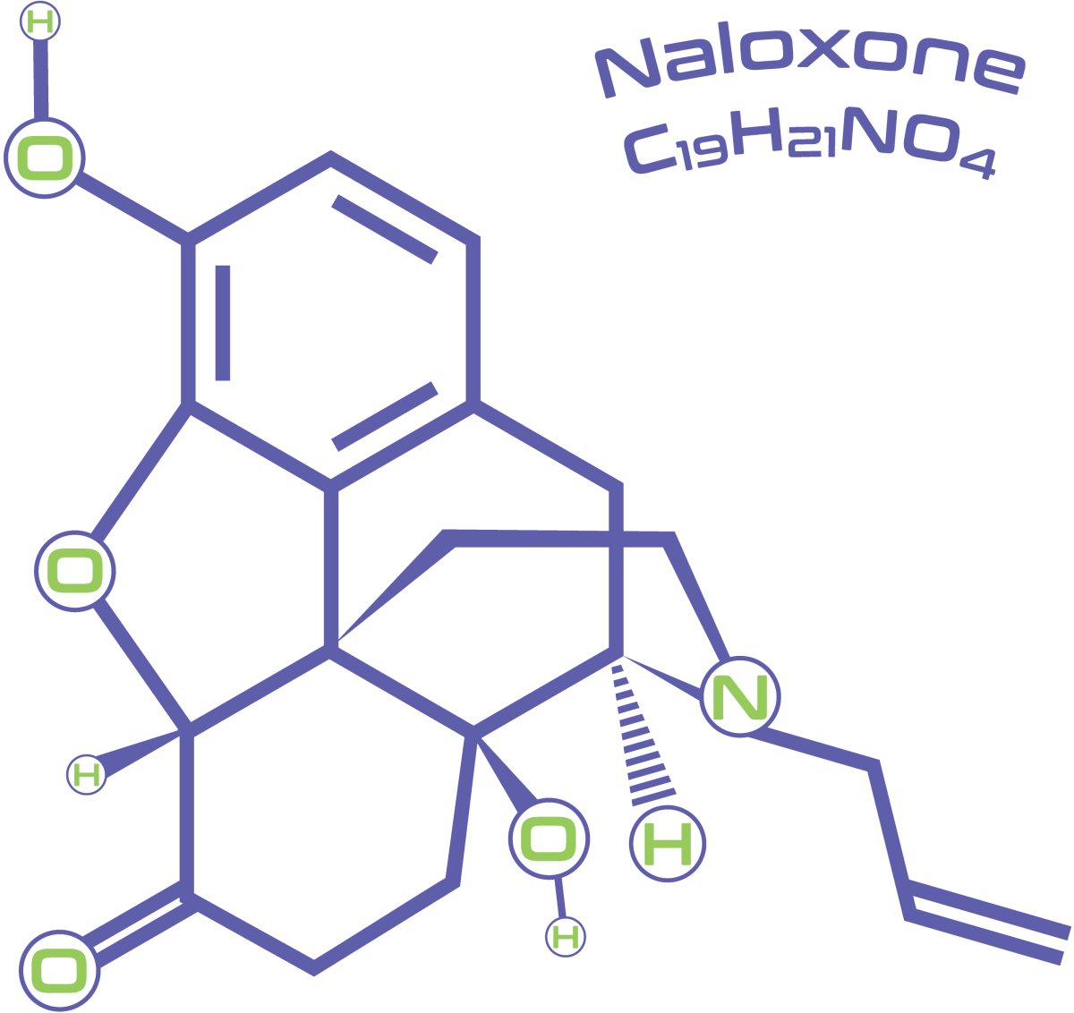 Naloxonoe Molecule C19 H21 NO4
